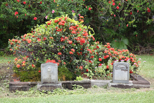 The cemetery behind the Kaulanapueo Church was hauntingly beautiful. jpg