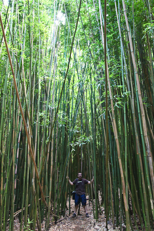 AJ in the bamboo forest. jpg