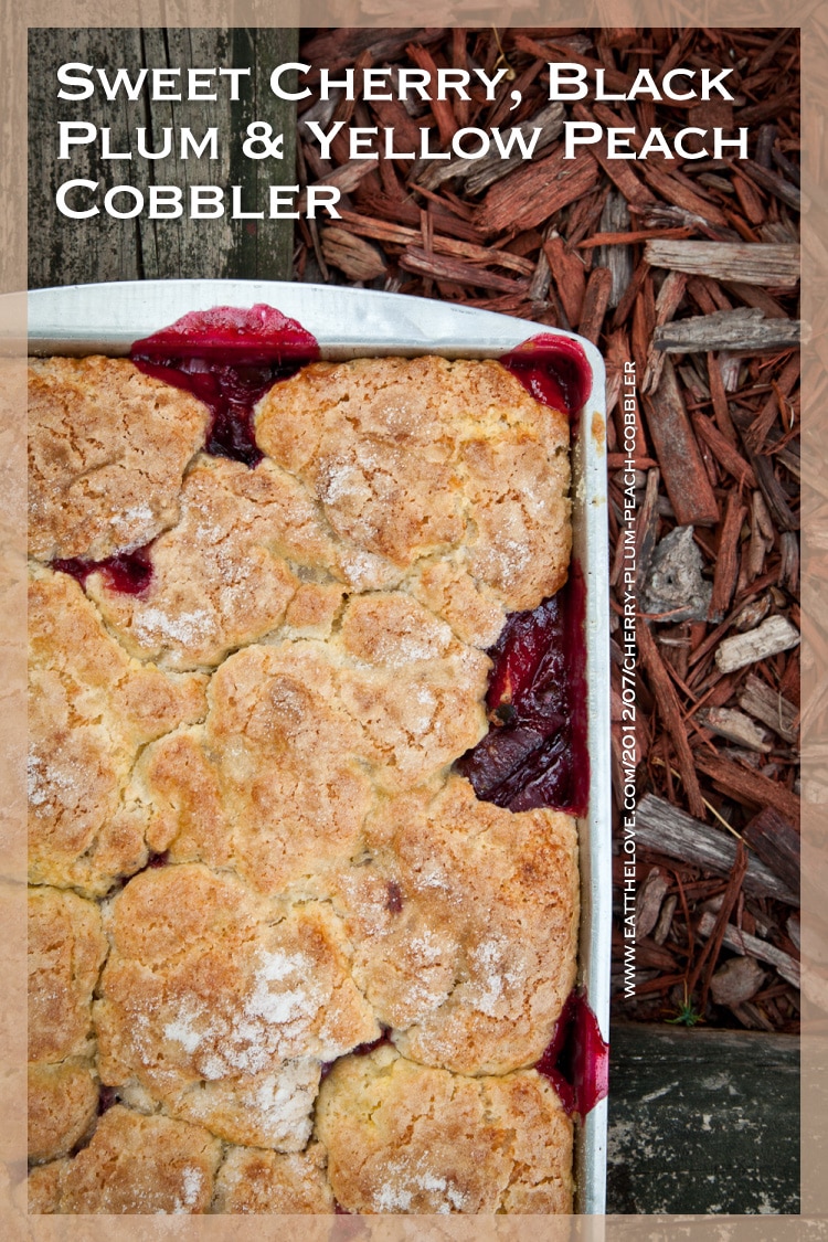 Cherry-Plum-Peach-Cobbler-Eat-The-Love-Irvin-Lin-Lead