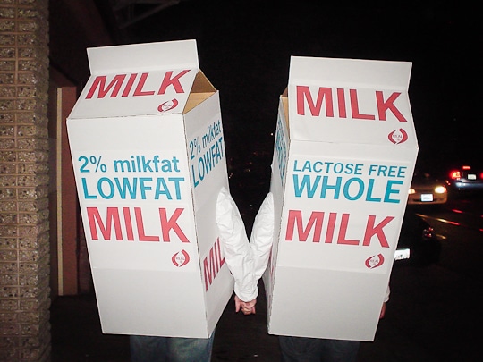 Halloween Milk Carton Costumes by Irvin Lin of Eat the Love