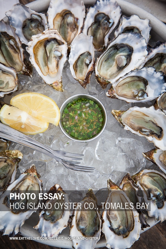 Hog Island Oyster Company by Irvin Lin of Eat the Love