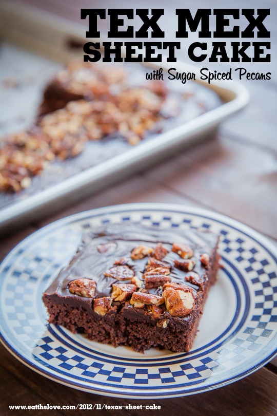 Texas Sheet Cake with Mexican Chocolate Spices by Irvin Lin by Eat the Love