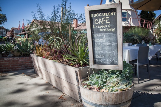 Succulent Cafe in Solvang, California. Photo by Irvin Lin of Eat the Love. www.eatthelove.com