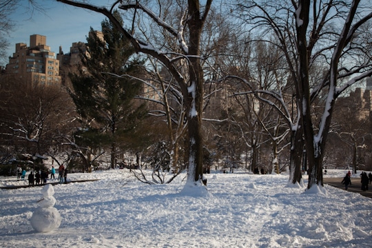 New York City's Central Park covered in snow. By Irvin Lin of Eat the Love. www.eatthelove.com