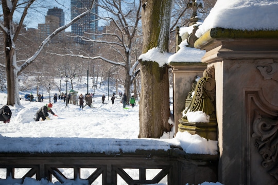 New York City's Central Park covered in snow. By Irvin Lin of Eat the Love. www.eatthelove.com