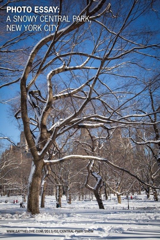 New York City's Central Park covered in snow. By Irvin Lin of Eat the Love. www.eatthelove.com