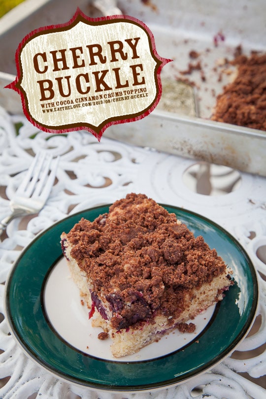 Cherry Buckle with Cocoa Cinnamon Streusel Topping. Photo by Irvin Lin of Eat the Love. www.eatthelove.com