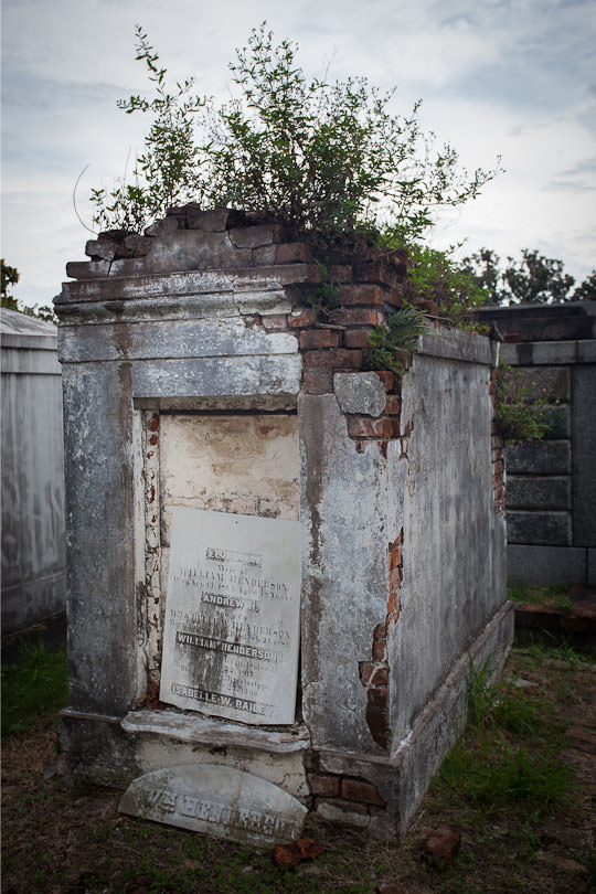 New Orleans Cemetery by Irvin Lin of Eat the Love. | www.eatthelove.com