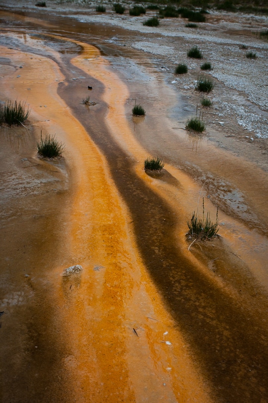 Yellowstone National Park by Irvin Lin of Eat the Love. www.eatthelove.com