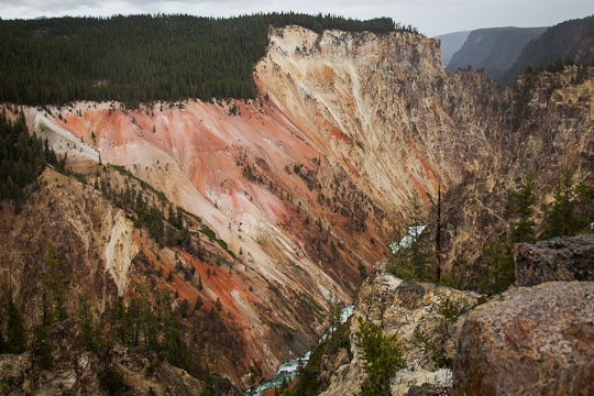 Grand Canyon at Yellowstone National Park by Irvin Lin of Eat the Love. www.eatthelove.com