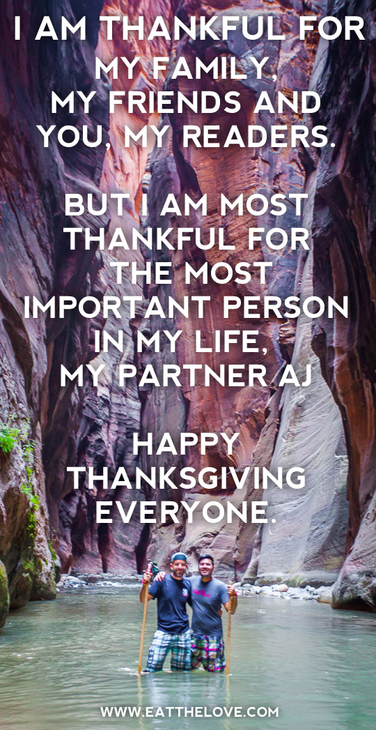 I am thankful for my family, my friends and you, my readers. But I am most thankful for the most important person in my life, my partner AJ. Happy Thanksgiving everyone. Photo by Irvin Lin of Eat the Love. www.eatthelove.com