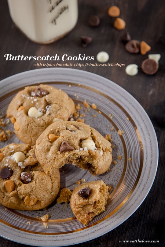 Butterscotch Cookies with Triple Chocolate Chips. Recipe and Photo by Irvin Lin of Eat the Love. www.eatthelove.com