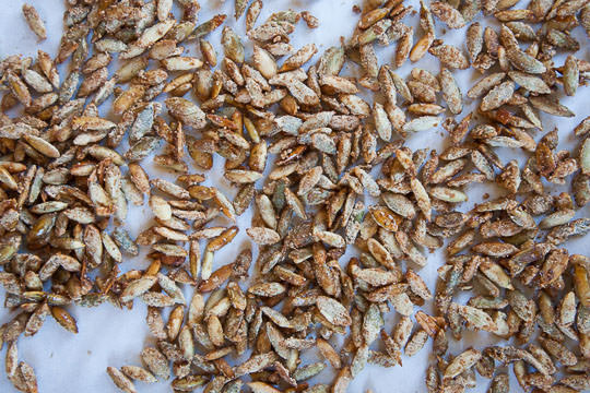 Easy pumpkin seeds recipe for candied pumpkin seeds. Photo by Irvin Lin of Eat the Love.