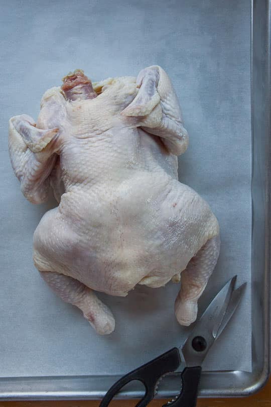 Lay the chicken with the backbone facing up. Photo and step-by-step instructions on how to butterfly a chicken by Irvin Lin of Eat the Love.