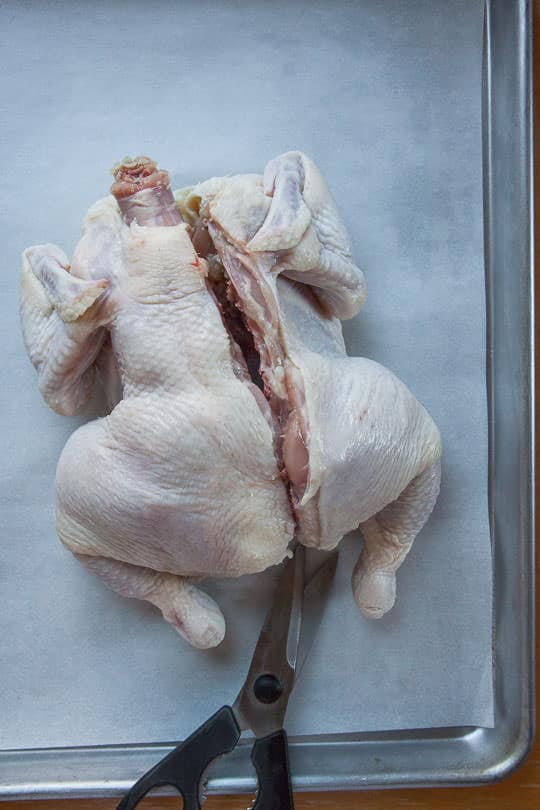 Cut down one side of the backbone of the chicken. Photo and step-by-step instructions on how to butterfly a chicken by Irvin Lin of Eat the Love.
