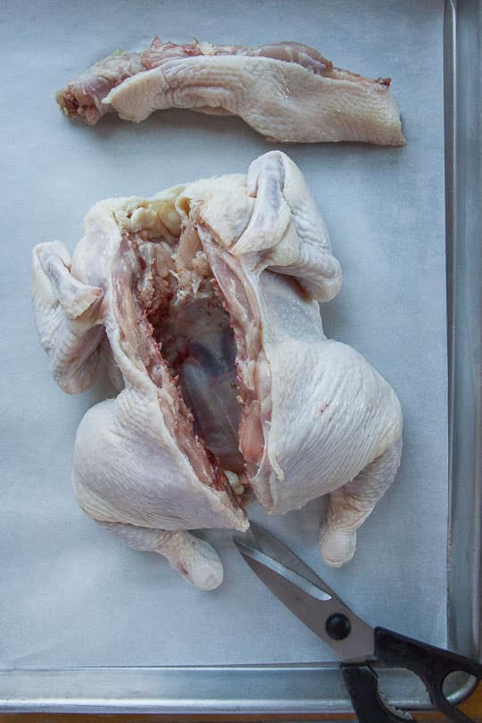 Cut down the other side of the backbone and remove it from the chicken. Photo and step-by-step instructions on how to spatchcock a chicken by Irvin Lin of Eat the Love.