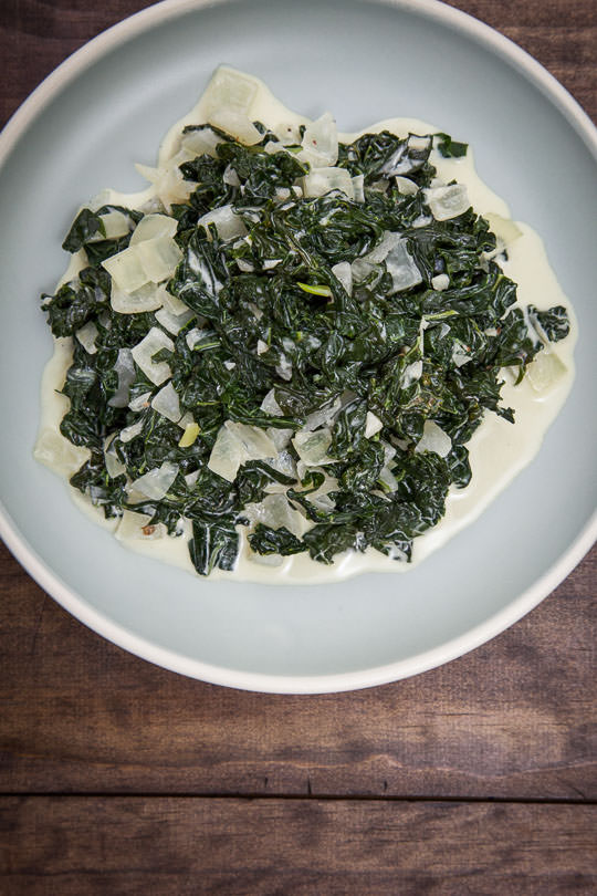 a plate of Creamed Kale. Photo and recipe by Irvin Lin of Eat the Love.