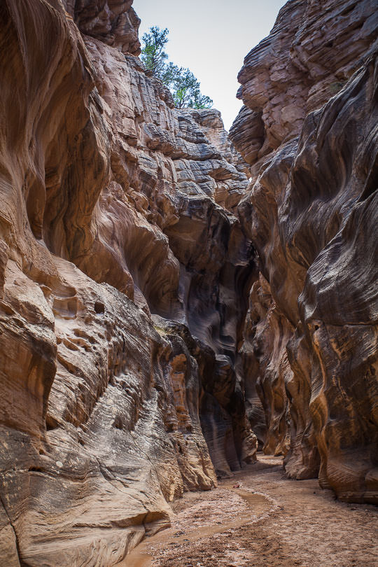 Willis Creek Slot Canyon Hike in Utah. Photo by Irvin Lin of Eat the Love.