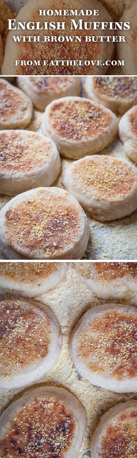 Homemade English Muffins. Recipe and Photo by Irvin Lin of Eat the Love. 