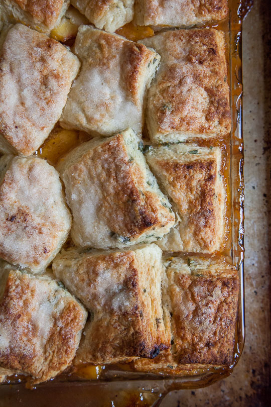 Peach and Nectarine Cobbler with Flakey Sage Biscuit Topping and Honey Mead Filling with step-by-step photos! Recipe photos by Irvin Lin of Eat the Love.