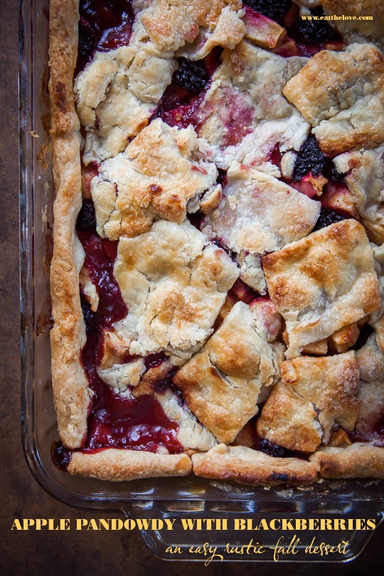 Apple Pandowdy with Blackberries. Photo and recipe by Irvin Lin of Eat the Love.