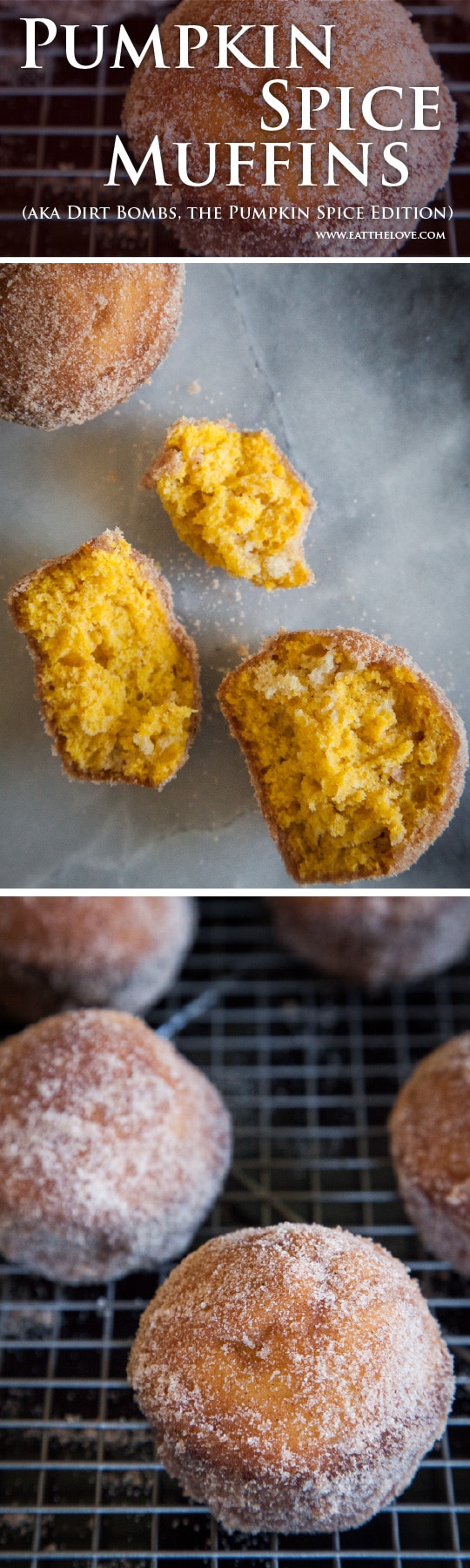 Pumpkin Spice Muffins, otherwise known as the Pumpkin Spice Dirt Bomb! Photo and recipe by Irvin Lin of Eat the Love.