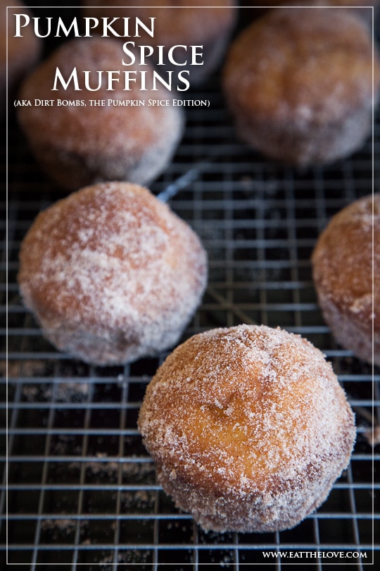 Pumpkin Spice Muffins (otherwise known as the Dirt Bomb - Pumpkin Spice Edition). Recipe and photo by Irvin Lin of Eat the Love.