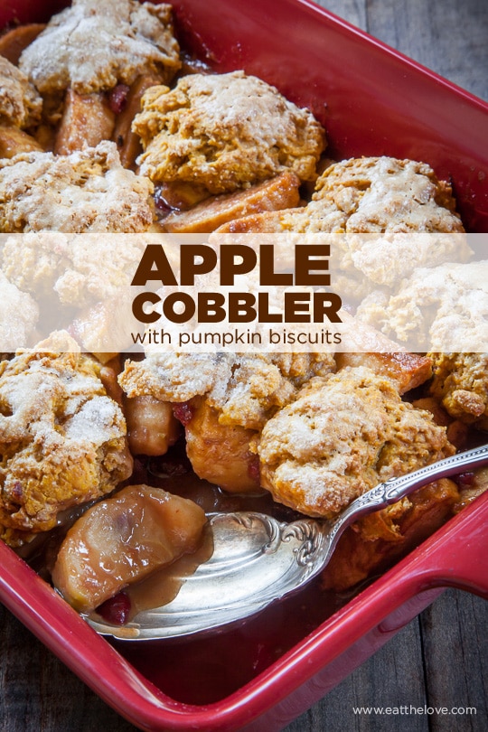 Apple Cobbler with Pumpkin Biscuits. Photo and Recipe by Irvin Lin of Eat the Love.