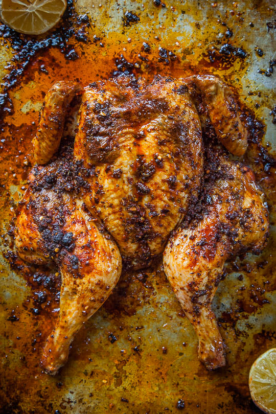 Chicken Rub Recipe for a Meyer Lemon Medican Adobo Rubbed Roasted Chicken. Photo and recipe by Irvin Lin of Eat the Love.