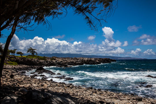 Beach on Maui. Photo by A. J. Bates of Eat the Love.