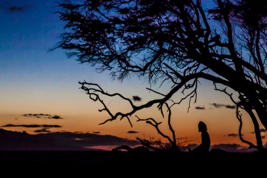 Maui Sunset. Photo by A. J. Bates of Eat the Love.