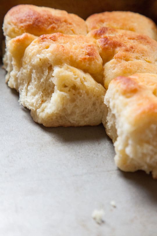 Potato Rolls that are easy requiring no kneading! Photo and recipe by Irvin Lin of Eat the Love