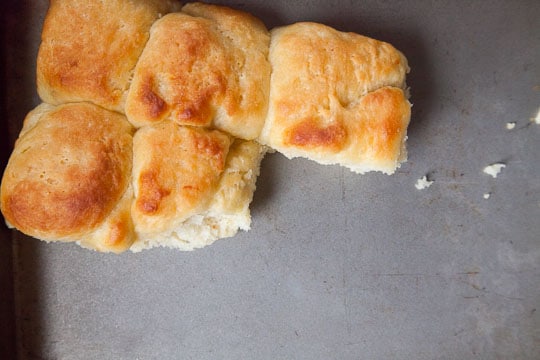 Fluffy and ever so slightly sweet potato rolls. Recipe and photo by Irvin Lin of Eat the Love.