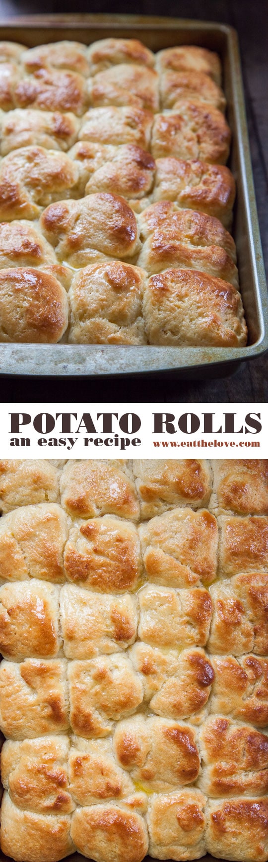 Potato Rolls Recipe, an easy no knead yeasted dinner roll recipe. Photo and recipe by Irvin Lin of Eat the Love.