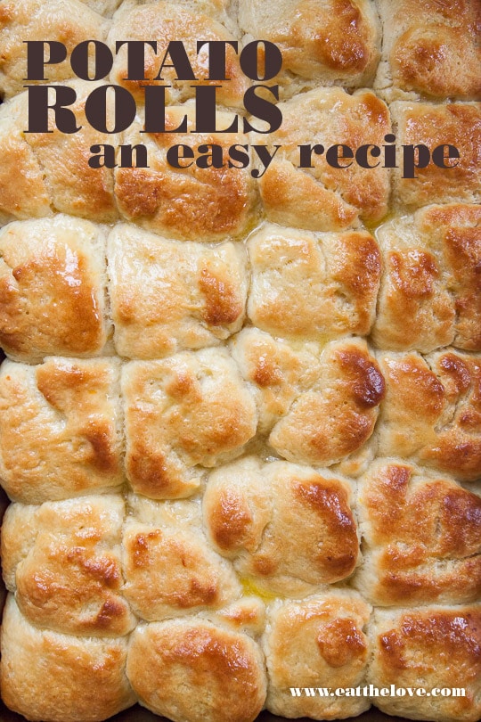 Potato Rolls. An easy, no knead recipe. Photo and recipe by Irvin Lin of Eat the Love
