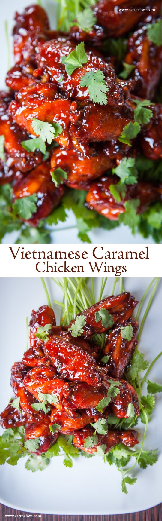 Easy Vietnamese Caramel Chicken Wings. Photo and recipe by Irvin Lin of Eat the Love.