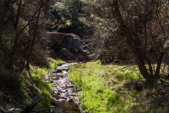 Pinnacles National Park