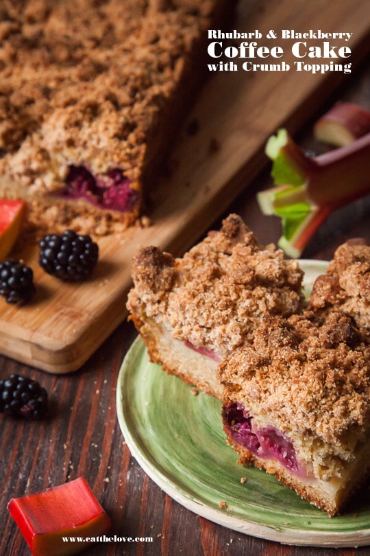 Rhubarb Coffee Cake with Blackberries and Crumb Topping. Photo and recipe by Irvin Lin of Eat the Love.