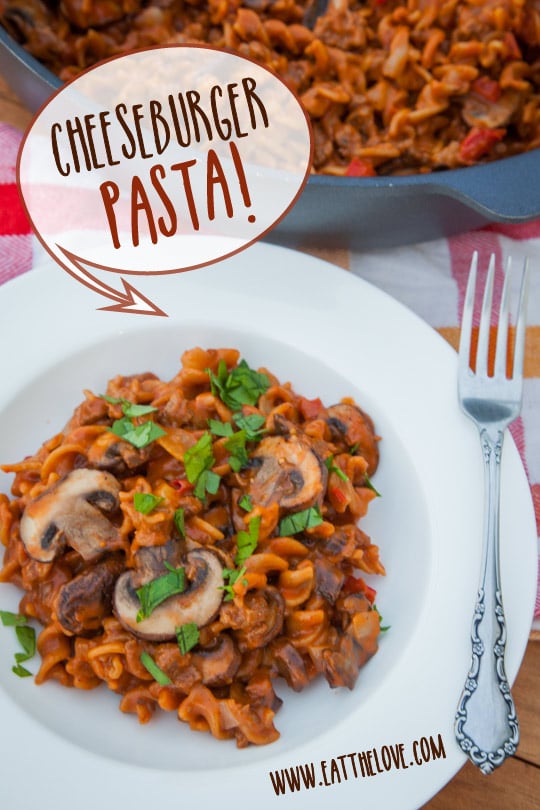 Homemade Cheeseburger Pasta! Nothing like the box mix, totally from scratch. Photo and recipe by Irvin Lin of Eat the Love.