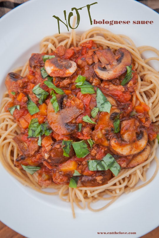 This savory Bolognese LIKE sauce isn't is my go-to favorite pasta sauce. Just don't call it Bolognese sauce. People will get REALLY upset. Photo and recipe by Irvin Lin of Eat the Love.