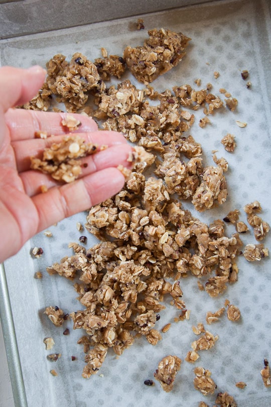 Sprinkle half the crumb into the bottom of the pan. 