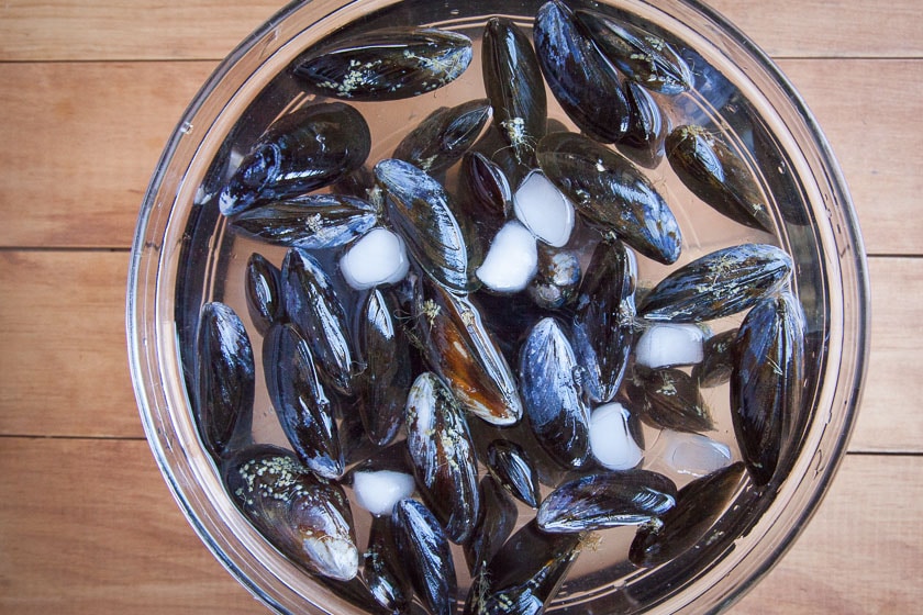 place mussels in ice water.