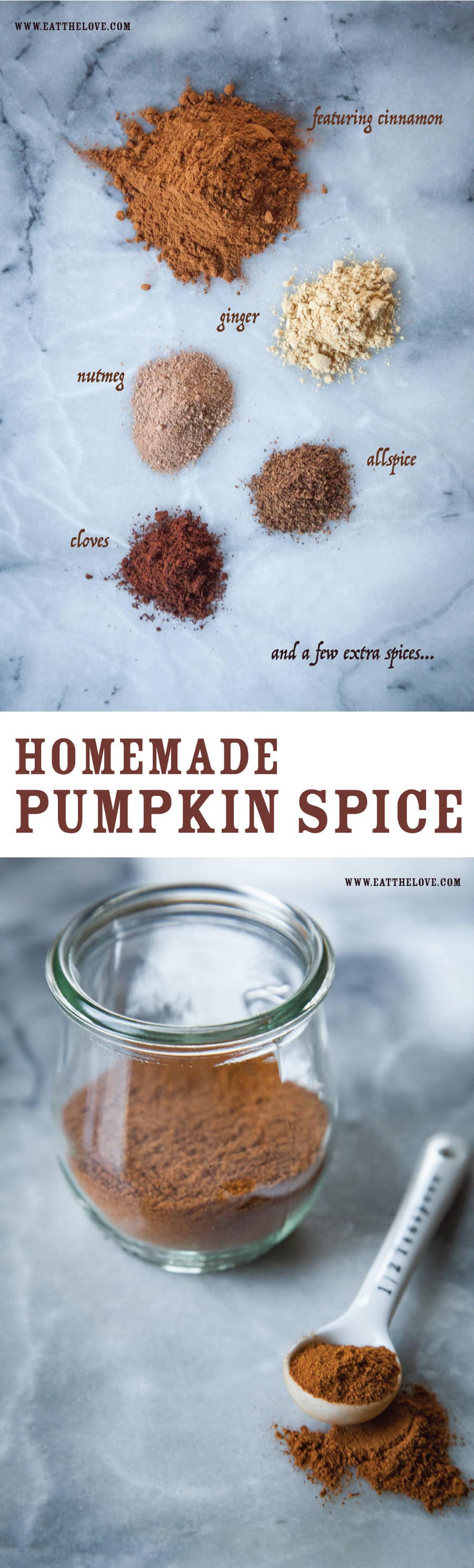 Homemade Pumpkin Spice with additional spice suggestions to customize to your own tastes! Photo and recipe by Irvin Lin of Eat the Love.