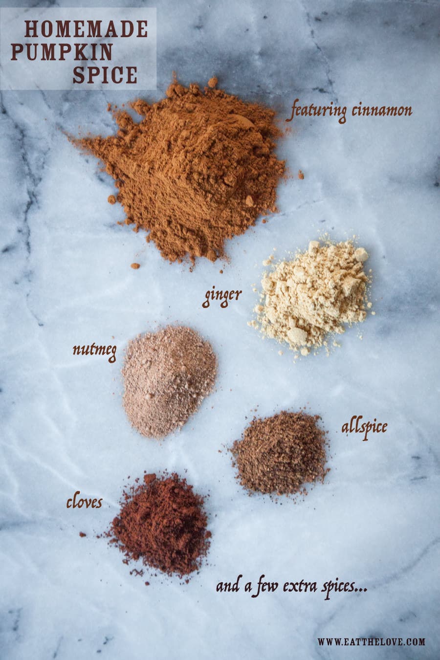 Seasoning Blends - Extra Spicy Seasoning Blend