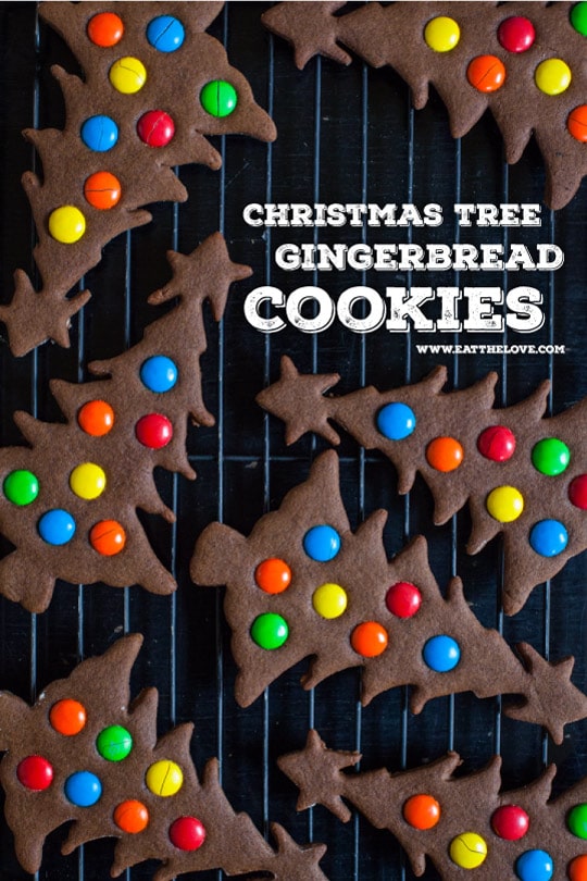 Easy to make Gingerbread Christmas Tree Cookies. Photo and recipe by Irvin Lin of Eat the Love.