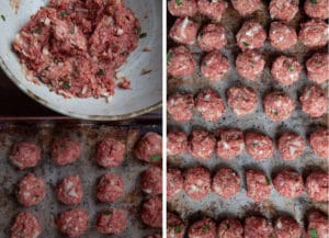 Form 1-inch meatballs from the mixture.