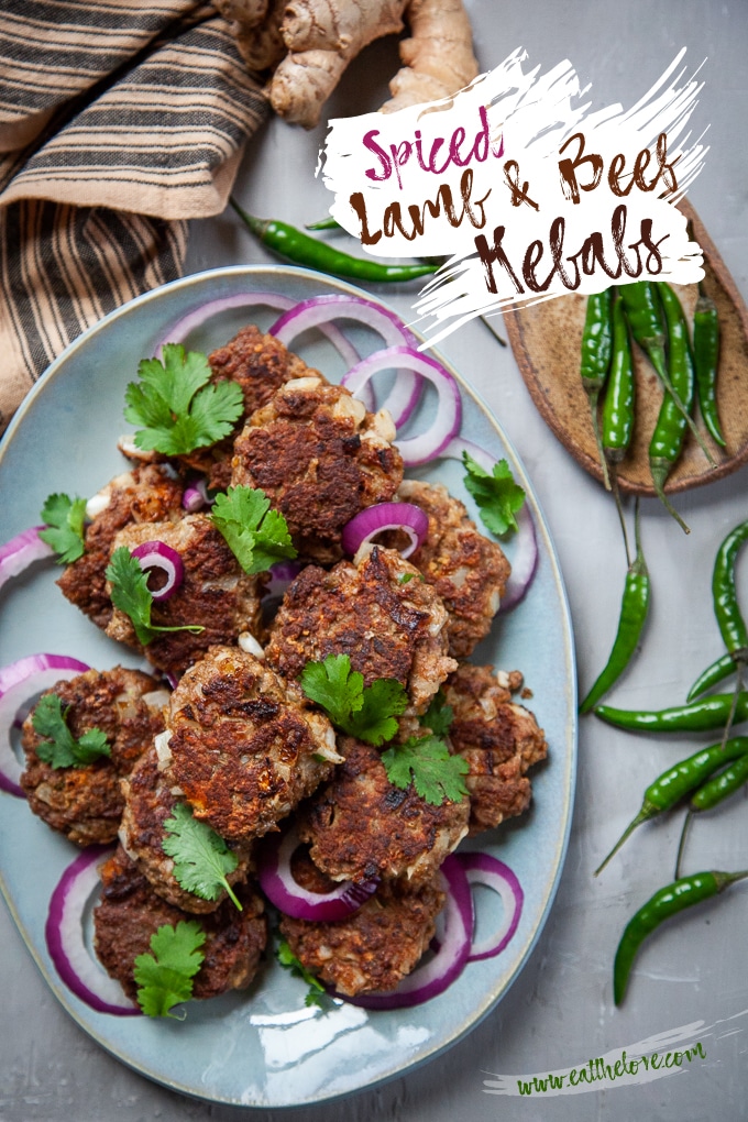 Spiced Lamb and Beef Kebabs served with cilantro and red onion slices