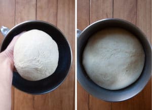 Let dough rise in greased bowl for 50 to 60 minutes or until dough has doubled.