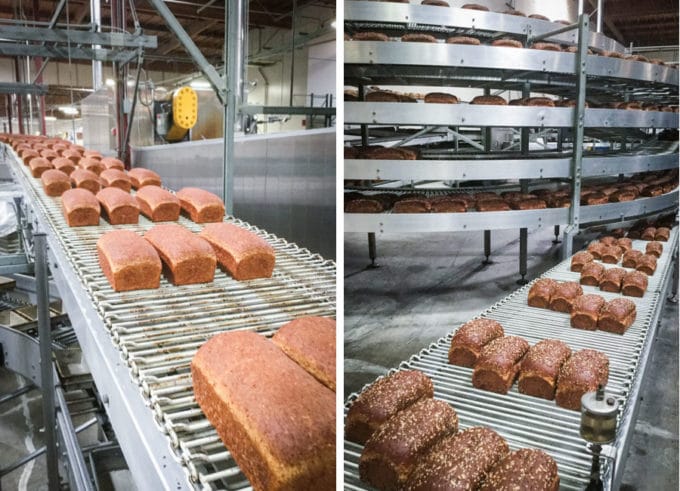 Bread baking and traveling on the conveyor belt at Alvarado Street Bakery