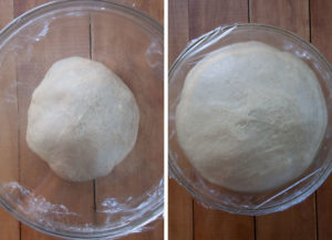 Place dough in a greased bowl, cover with plastic wrap, and let rise until double, about 1 hour.